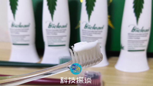 精致男孩的日常必備 紙巾與牙膏的精選指南